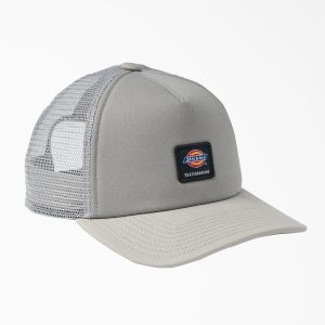 Dickies Skateboarding Trucker Hat