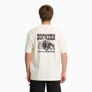 Buchtell Short Sleeve Graphic T-Shirt