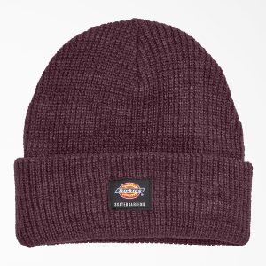 Dickies Skateboarding Cuffed Beanie