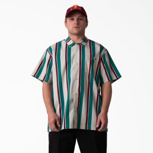 Jamie Foy Signature Collection Havana Shirt