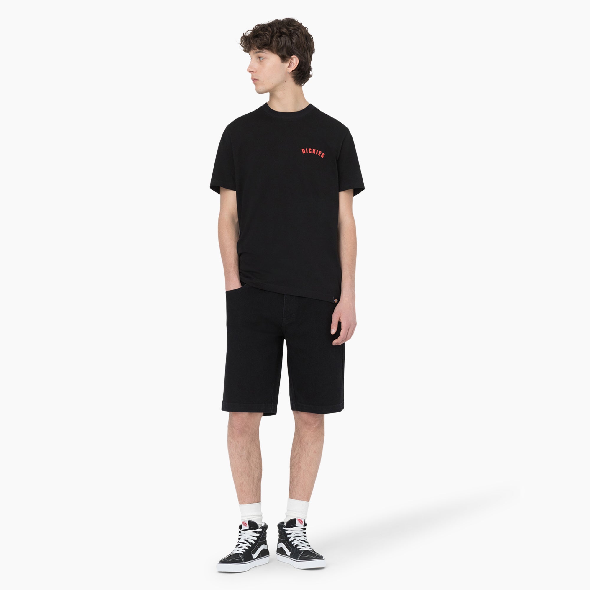 Dickies Skateboarding Loose Fit Wingville Shorts. 11 - Image 5